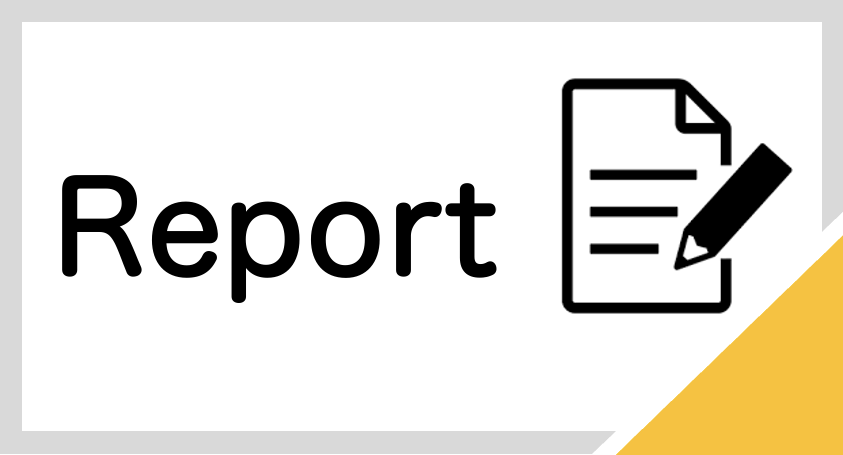 Report
